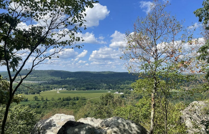 Pohatcong Native Arboretum, United States